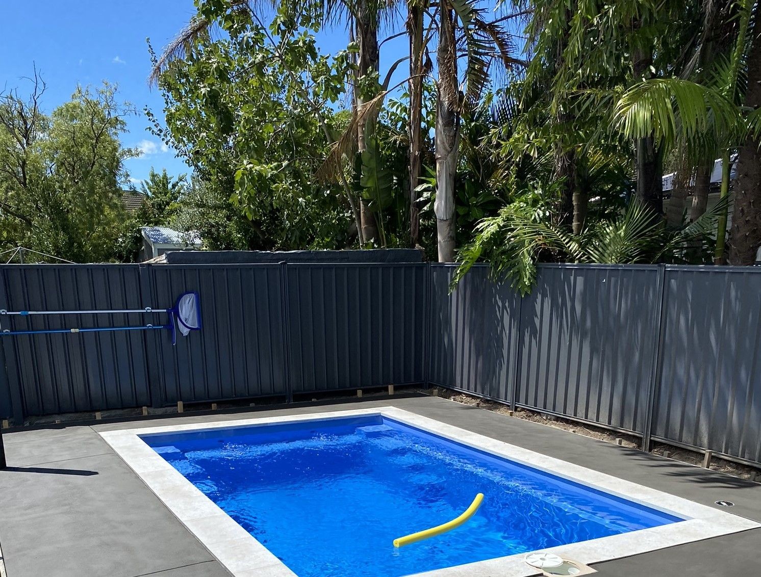 Small backyard swimming pool with a yellow pool noodle and gray fence surrounded by lush green trees.