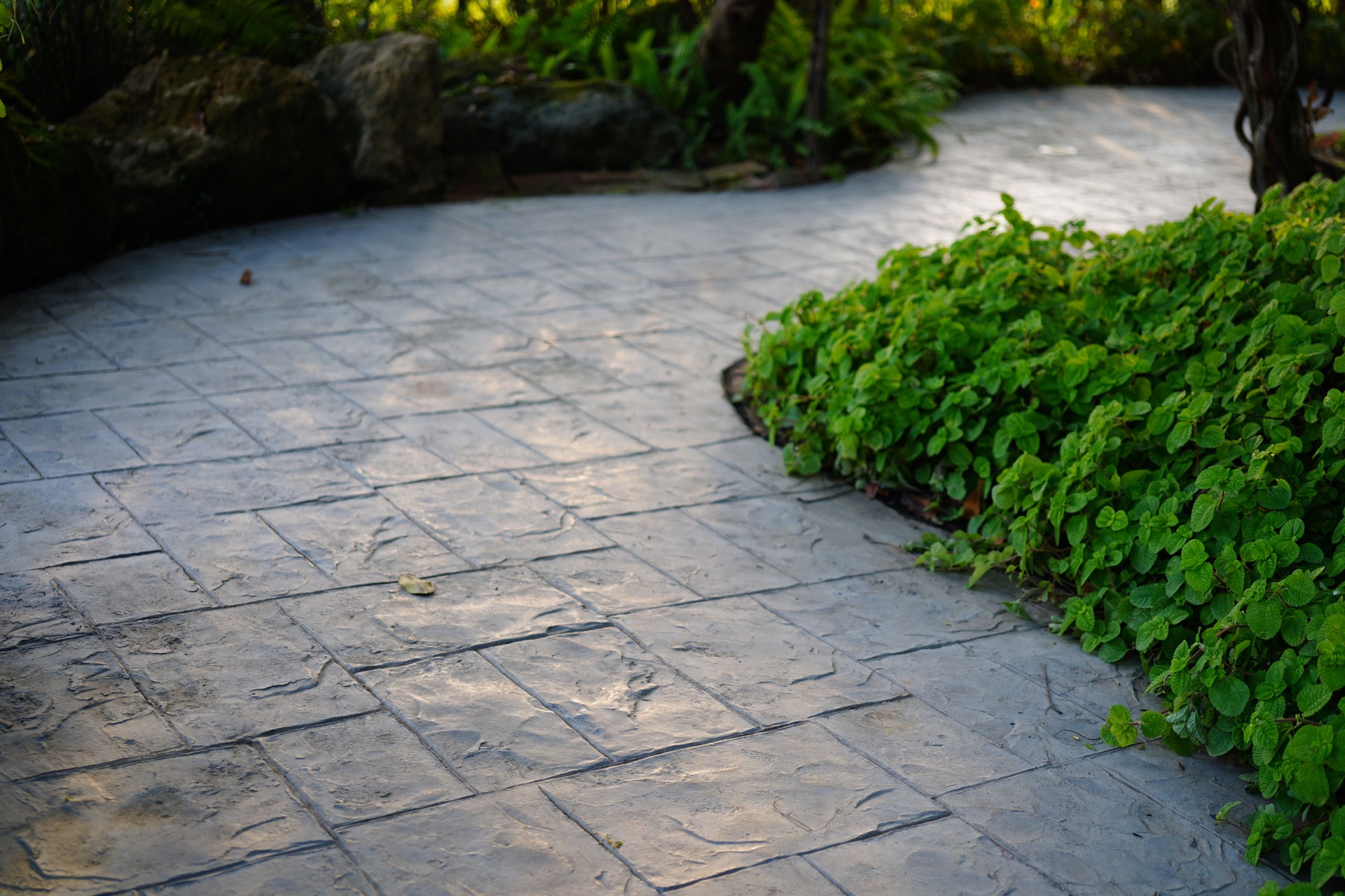 Walkway in garden