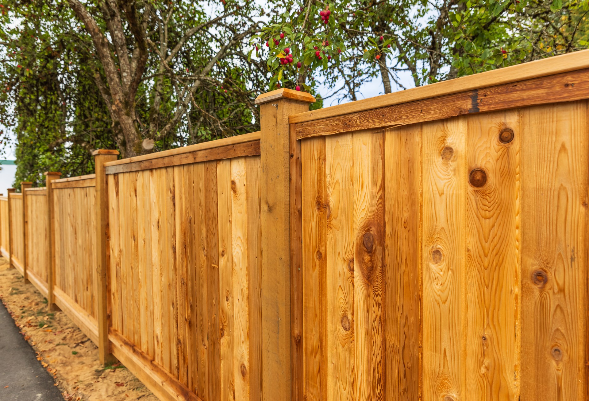 Big new wooden fence around the house and trees. . Street photo. Fencing and gates.