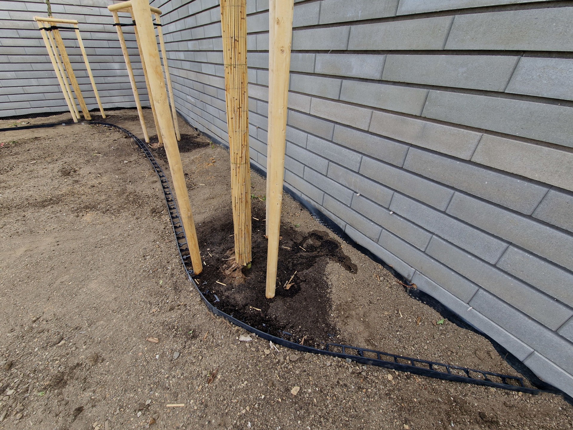 assembly of garden curbs made of black plastic. The curb separates lawns and flowerbeds so that there is a clear interface and the grass does not grow into a flowerbed with mulching materials.